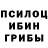 Галлюциногенные грибы Psilocybine cubensis Darryl Allen